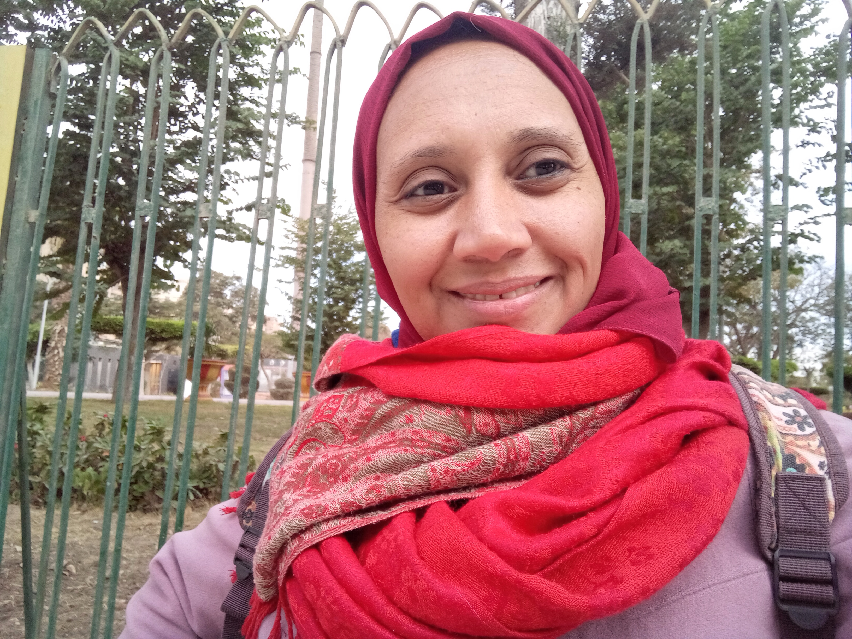 ���� ��� ���� �����