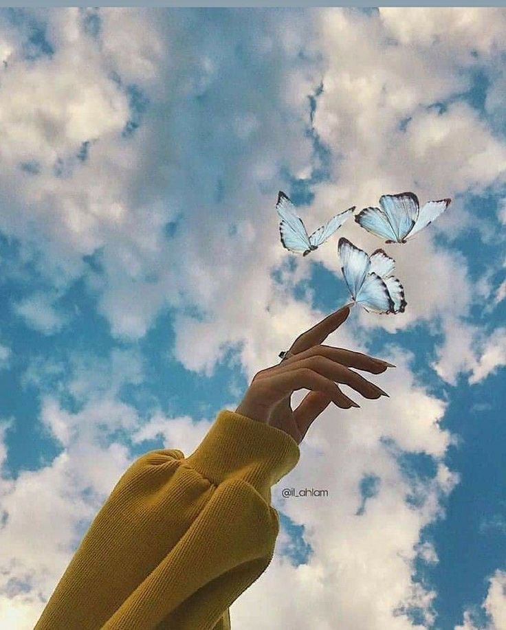 ����� �����